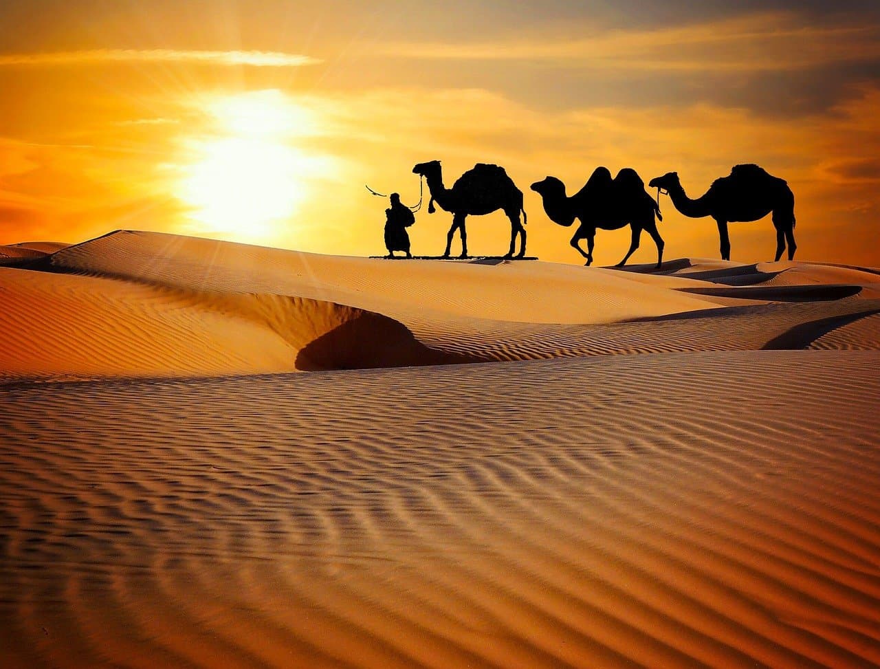 Village Safari